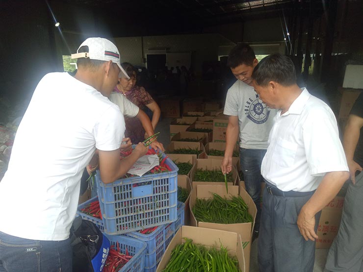 J9旗舰厅(中国区)官方网站