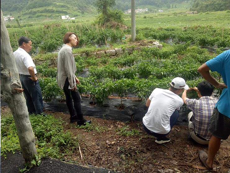 J9旗舰厅(中国区)官方网站