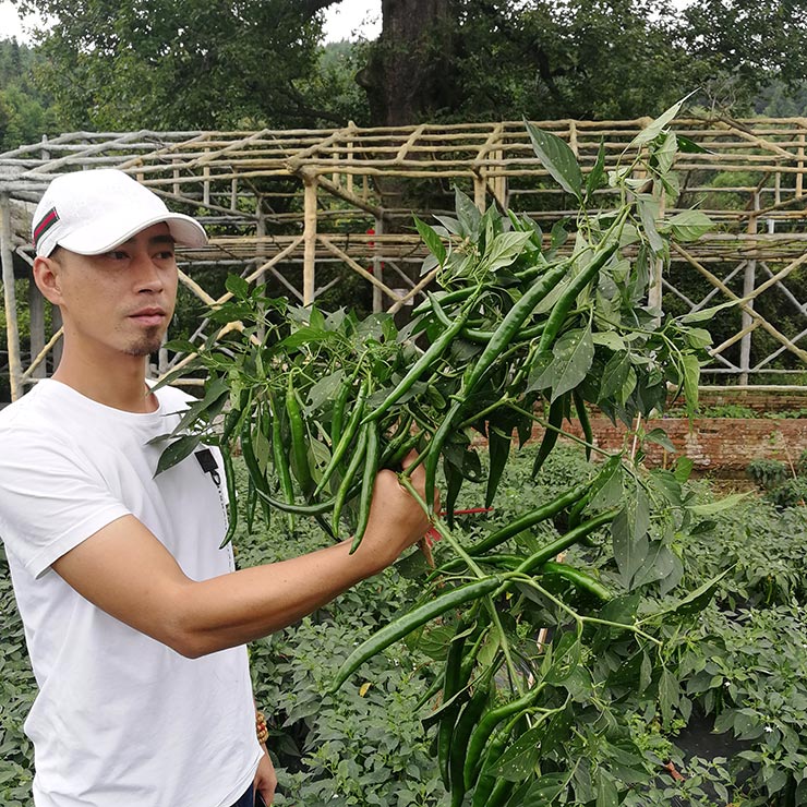 J9旗舰厅(中国区)官方网站