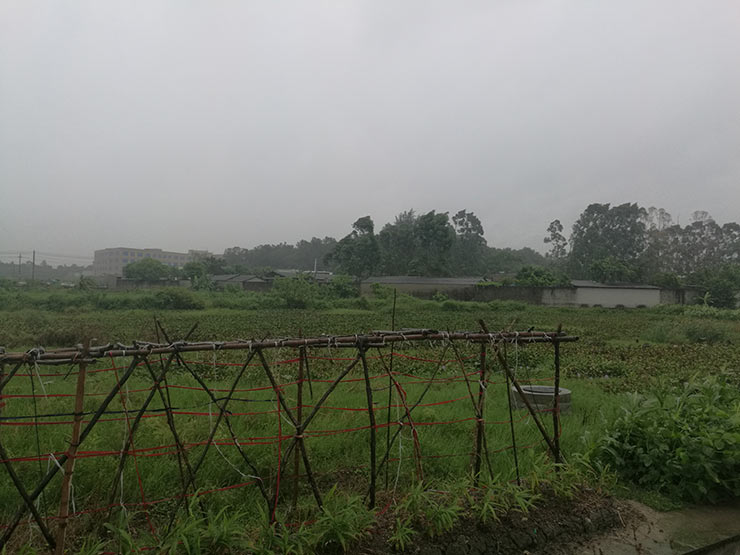 J9旗舰厅(中国区)官方网站