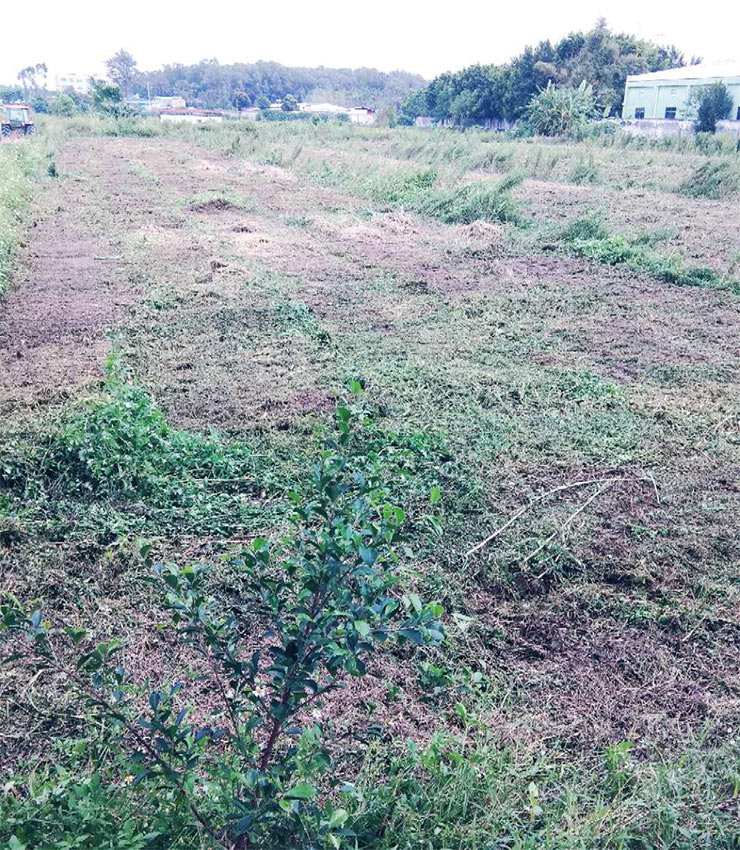 J9旗舰厅(中国区)官方网站