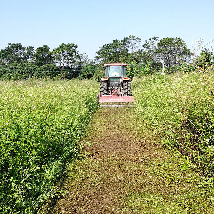 J9旗舰厅(中国区)官方网站