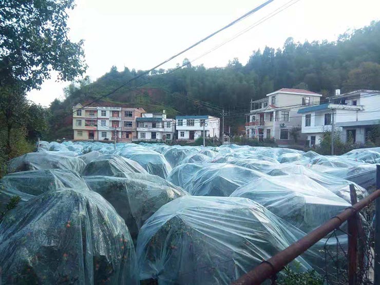 J9旗舰厅(中国区)官方网站