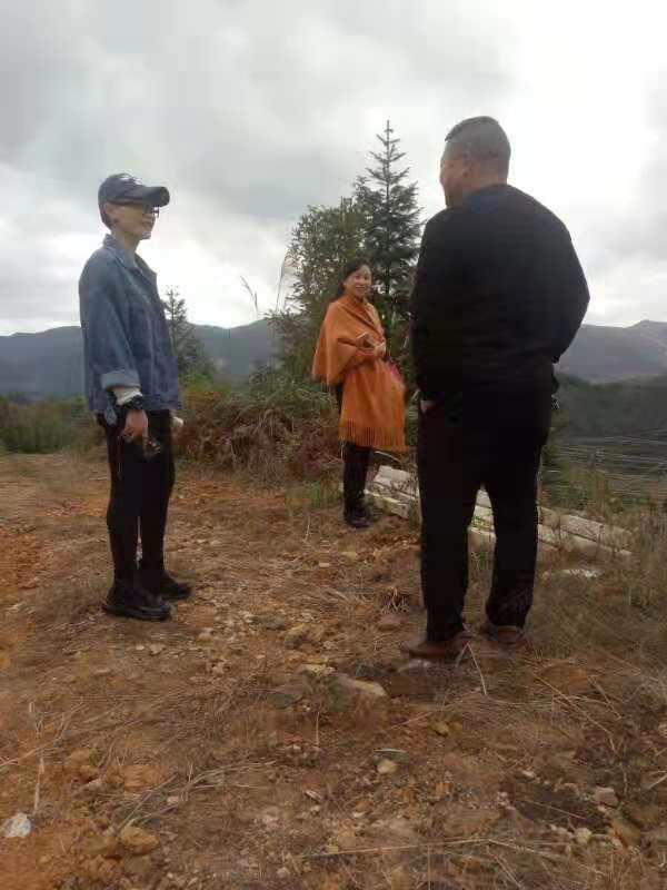 J9旗舰厅(中国区)官方网站