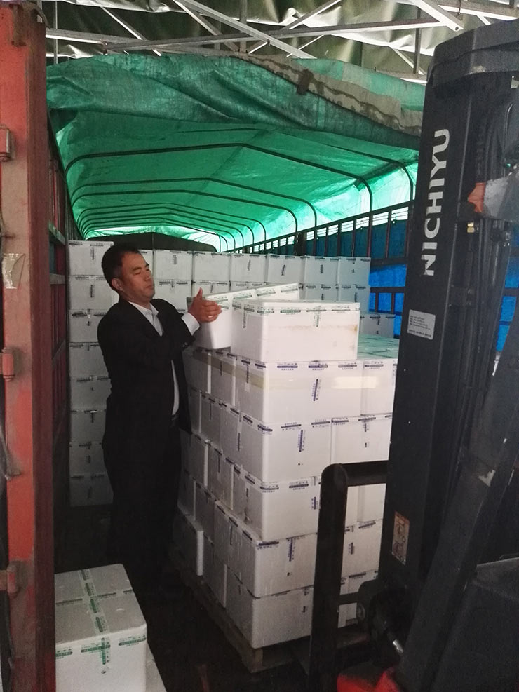 J9旗舰厅(中国区)官方网站