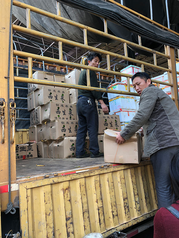 J9旗舰厅(中国区)官方网站