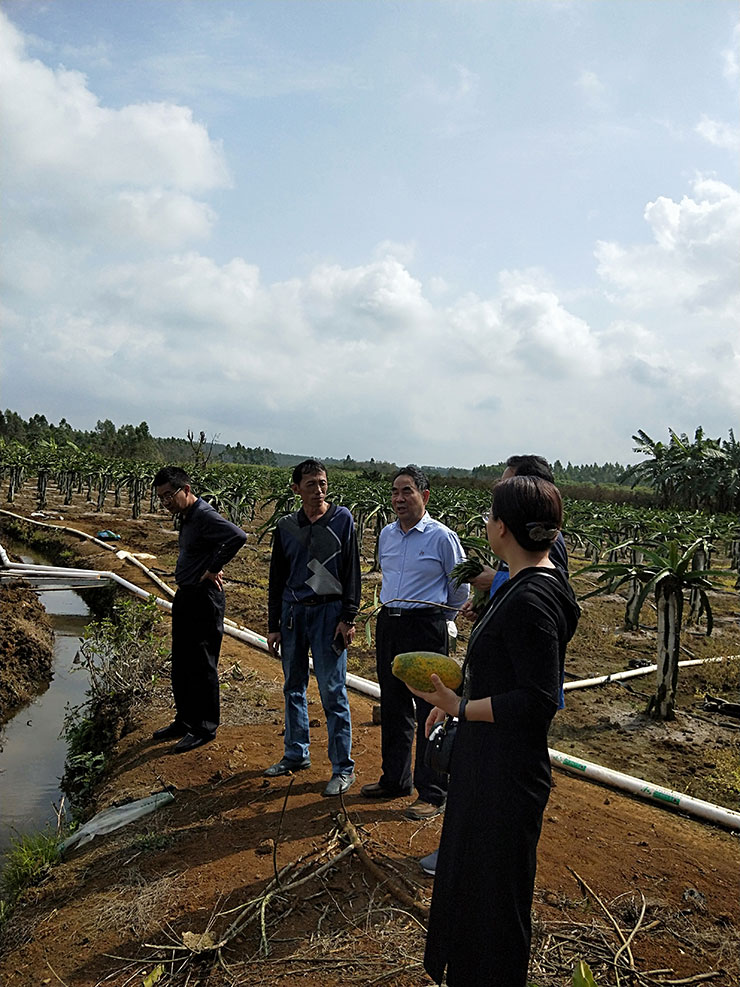 J9旗舰厅(中国区)官方网站