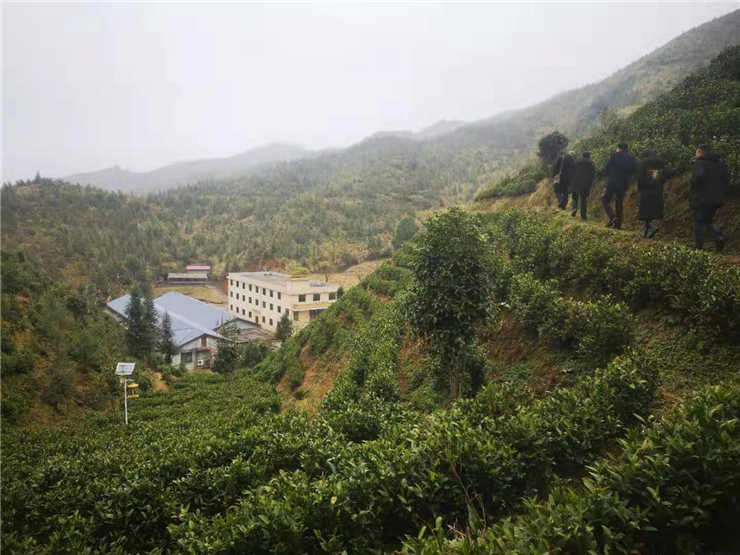 J9旗舰厅(中国区)官方网站