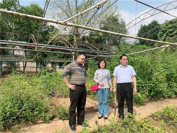 J9旗舰厅(中国区)官方网站