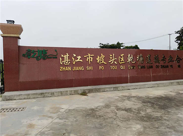 J9旗舰厅(中国区)官方网站