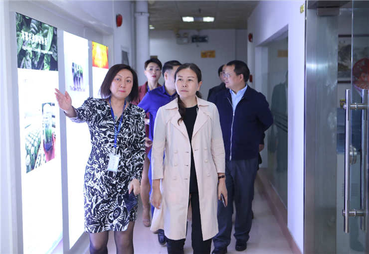 J9旗舰厅(中国区)官方网站