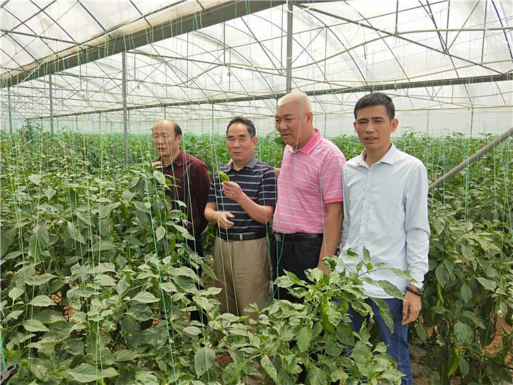 J9旗舰厅(中国区)官方网站