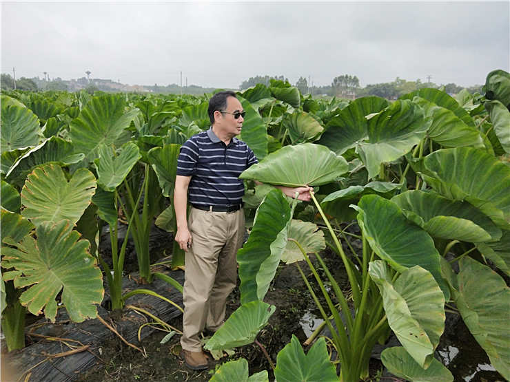 J9旗舰厅(中国区)官方网站