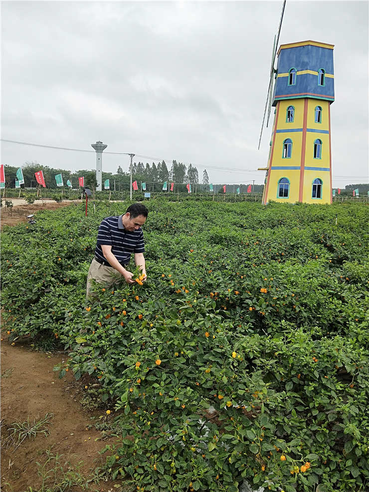 J9旗舰厅(中国区)官方网站