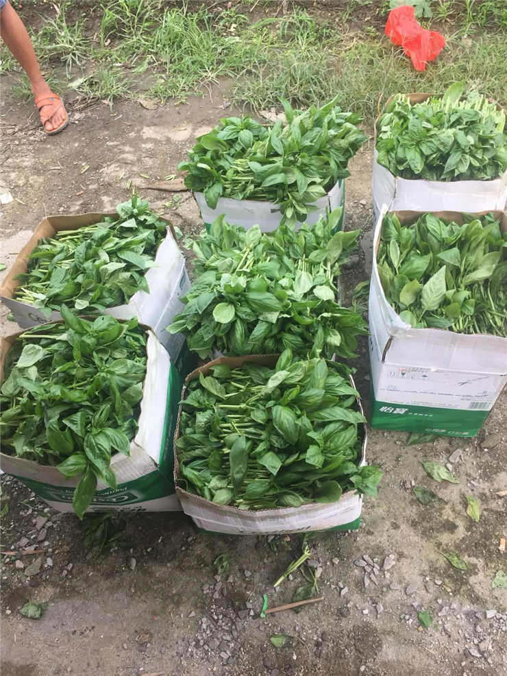 J9旗舰厅(中国区)官方网站