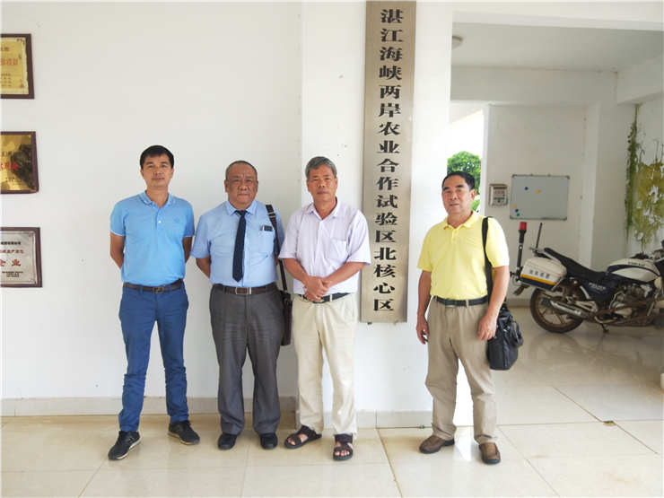 J9旗舰厅(中国区)官方网站