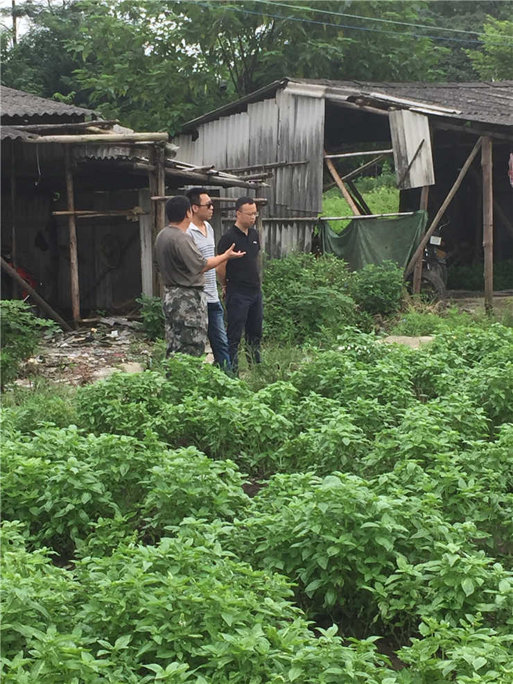 J9旗舰厅(中国区)官方网站