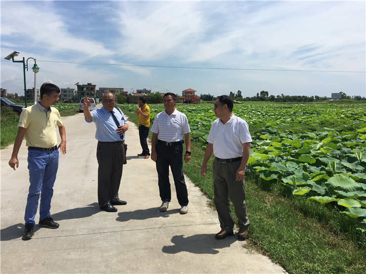 J9旗舰厅(中国区)官方网站