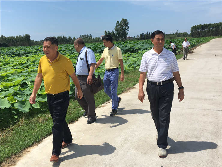 J9旗舰厅(中国区)官方网站