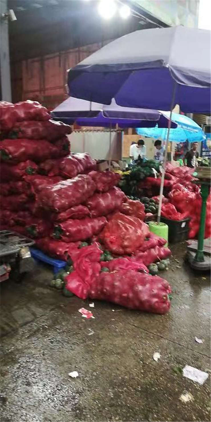 J9旗舰厅(中国区)官方网站