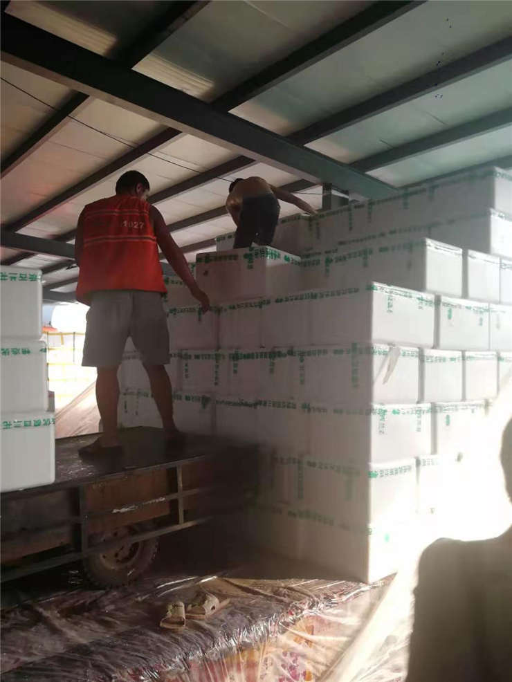 J9旗舰厅(中国区)官方网站