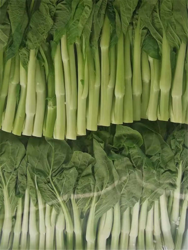 J9旗舰厅(中国区)官方网站