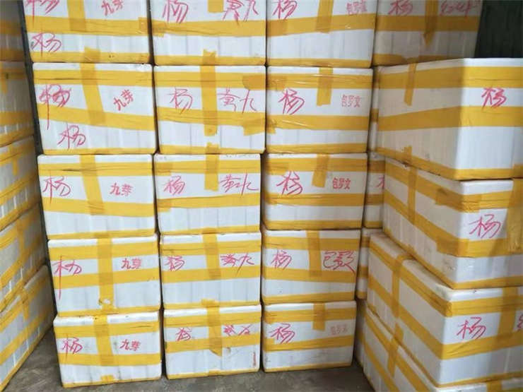 J9旗舰厅(中国区)官方网站