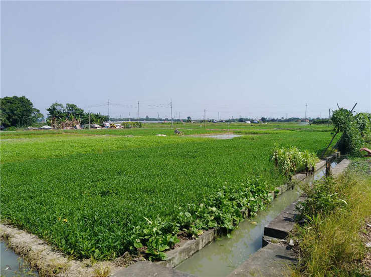 J9旗舰厅(中国区)官方网站