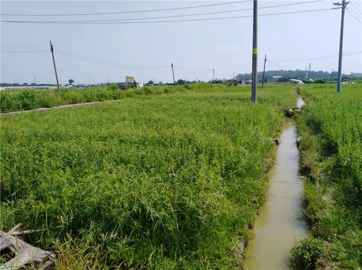 J9旗舰厅(中国区)官方网站