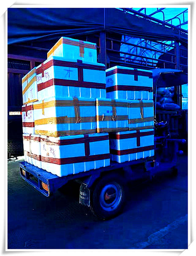 J9旗舰厅(中国区)官方网站