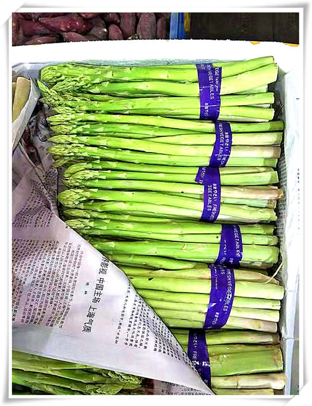 J9旗舰厅(中国区)官方网站