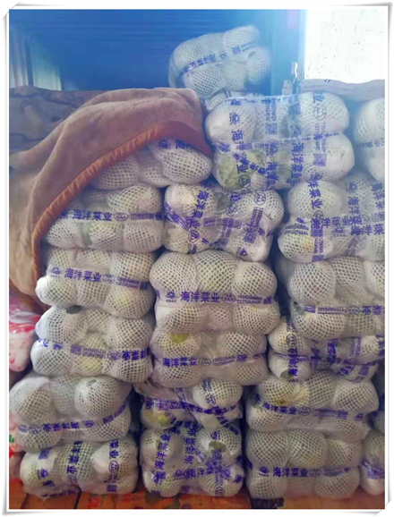 J9旗舰厅(中国区)官方网站