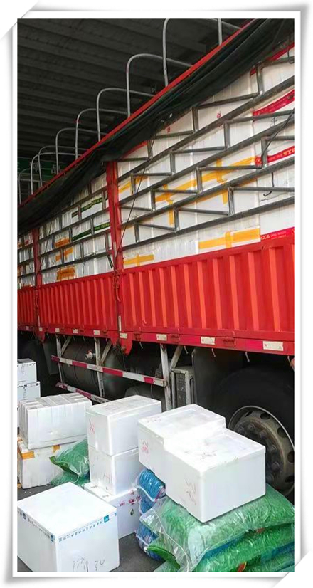 J9旗舰厅(中国区)官方网站