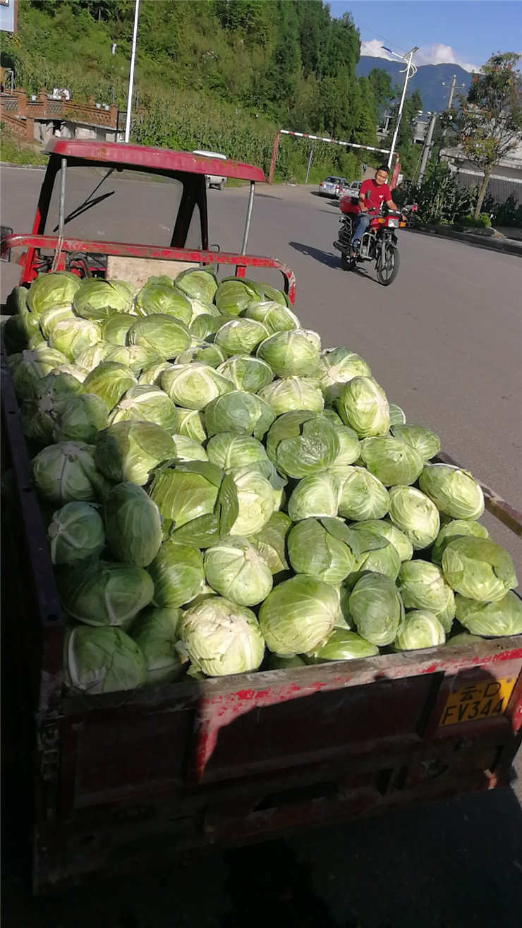 J9旗舰厅(中国区)官方网站