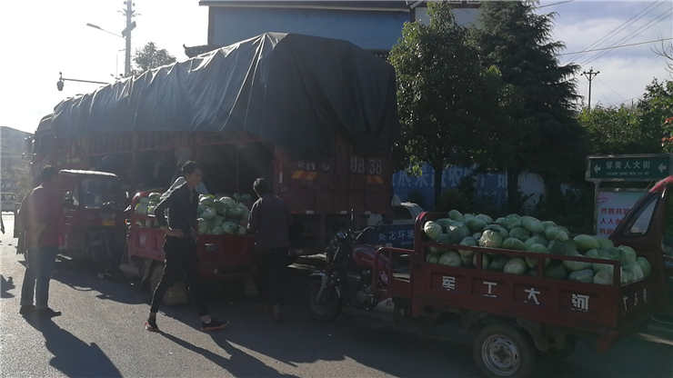 J9旗舰厅(中国区)官方网站