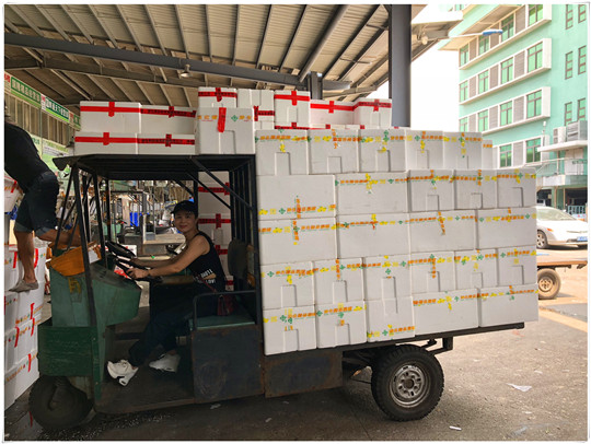 J9旗舰厅(中国区)官方网站