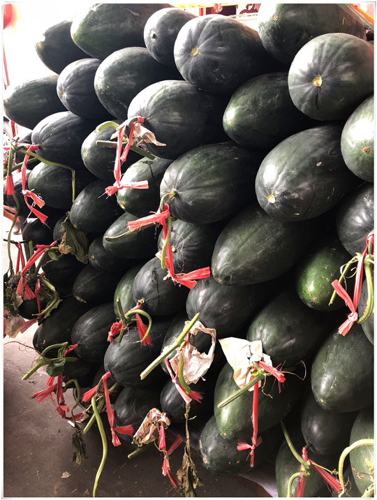 J9旗舰厅(中国区)官方网站