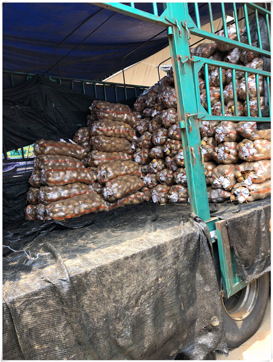 J9旗舰厅(中国区)官方网站