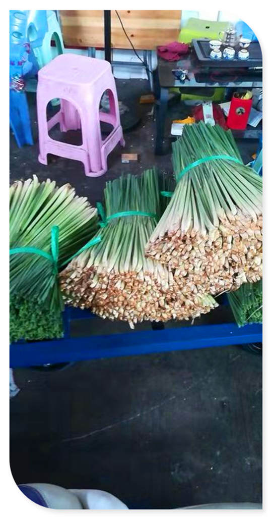 J9旗舰厅(中国区)官方网站