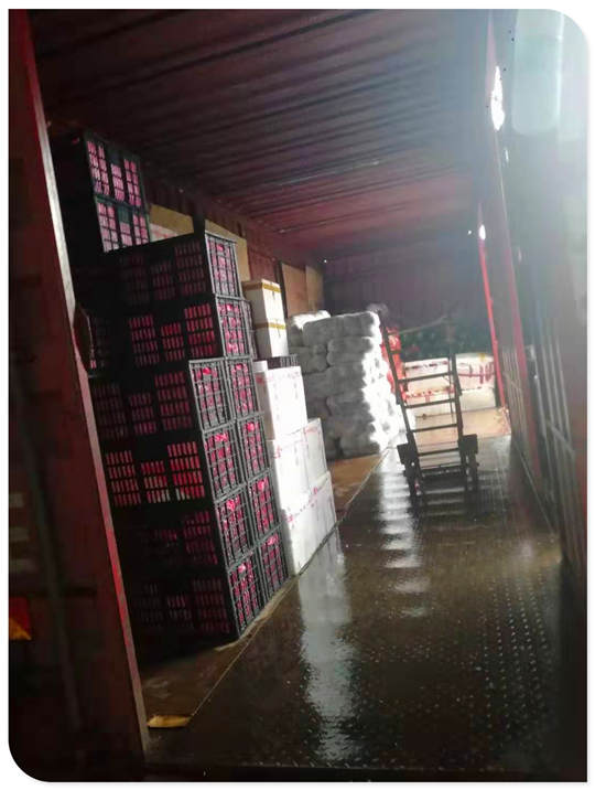 J9旗舰厅(中国区)官方网站