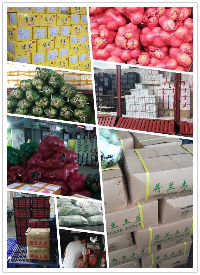 J9旗舰厅(中国区)官方网站