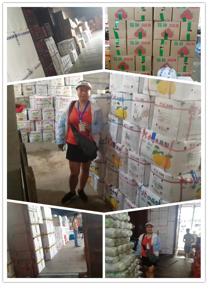 J9旗舰厅(中国区)官方网站