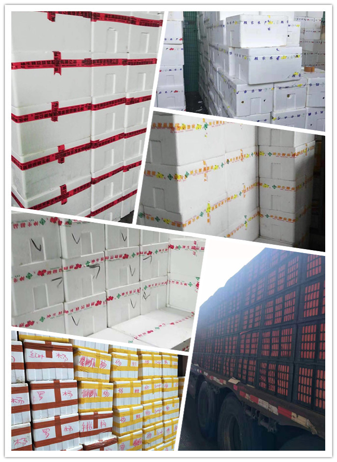 J9旗舰厅(中国区)官方网站