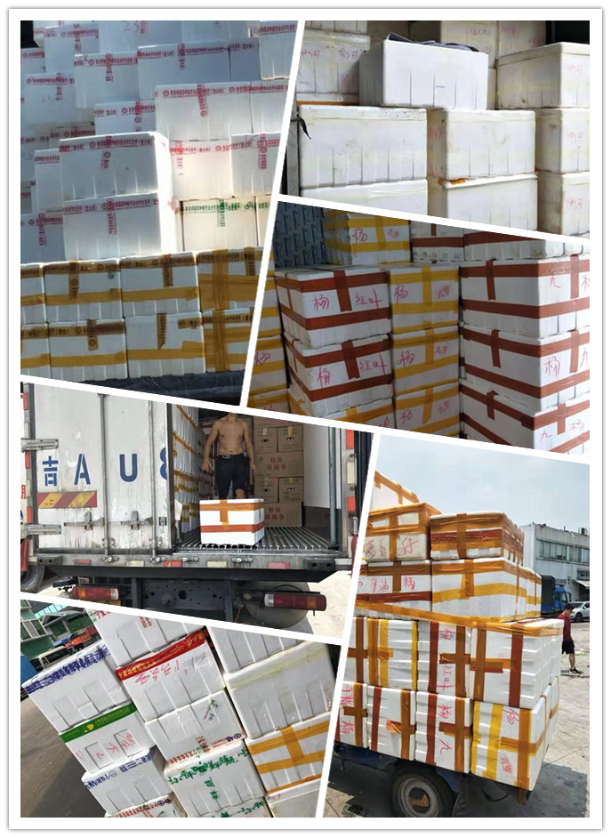 J9旗舰厅(中国区)官方网站