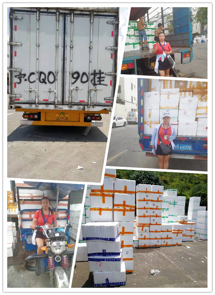 J9旗舰厅(中国区)官方网站