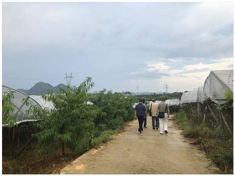 J9旗舰厅(中国区)官方网站