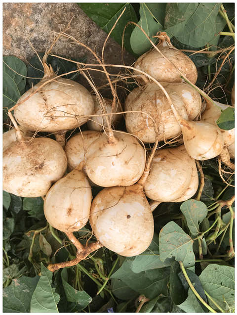 J9旗舰厅(中国区)官方网站