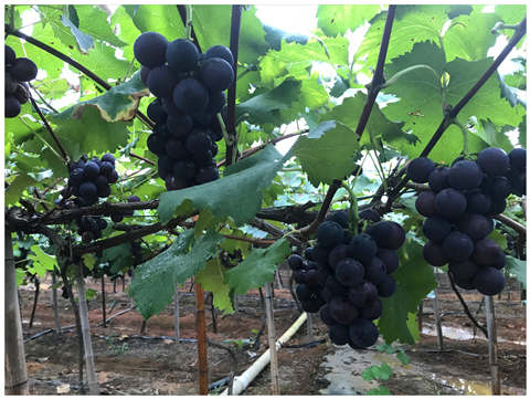 J9旗舰厅(中国区)官方网站