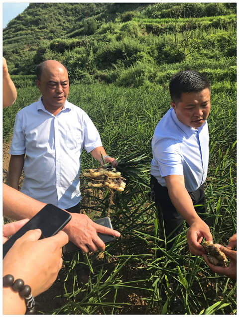 J9旗舰厅(中国区)官方网站