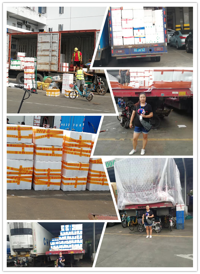 J9旗舰厅(中国区)官方网站